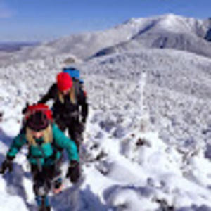 Meet your Posher, Allyson